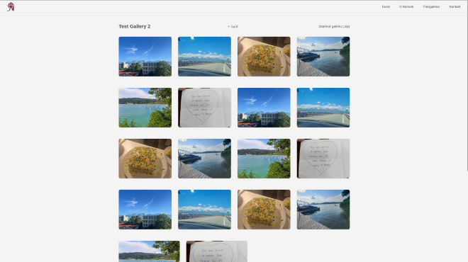 Gallery - Desktop View